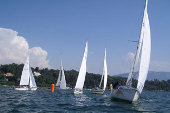 regata sailing