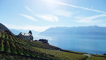 La route du vignoble